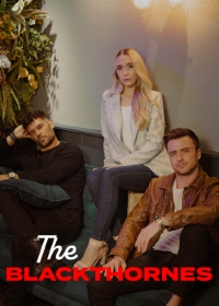 碧芳暗戰電影海報