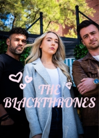 碧芳暗戰電影海報