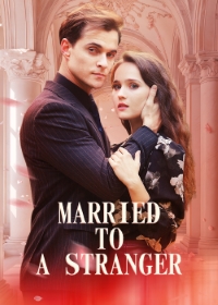 陌路相逢電影海報