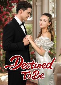 代姊從婚電影海報