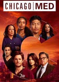 芝加哥醫情 第六季電影海報