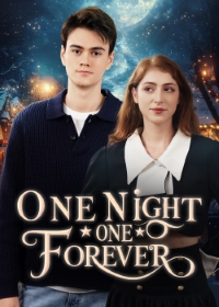 佳偶一夜成電影海報