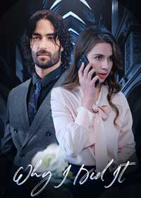 動機未明電影海報