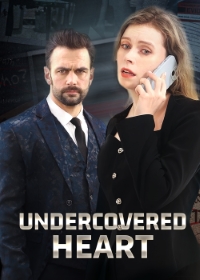 關鍵謎情電影海報